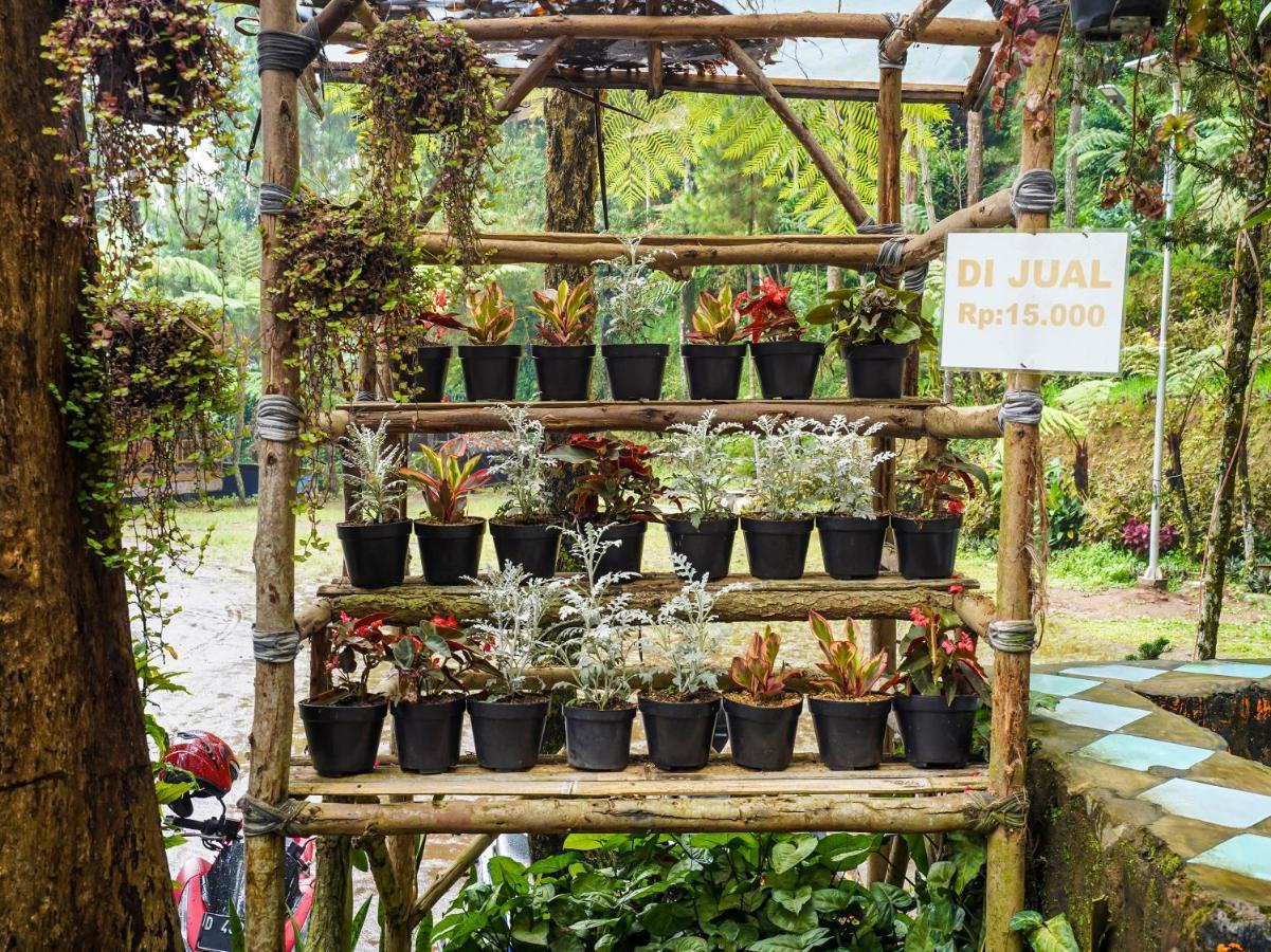 Oyo Homes 90915 Eco Tourism Desa Cihanjuang Rahayu Ciwangun Indah Camp Villas Bongkar Kültér fotó
