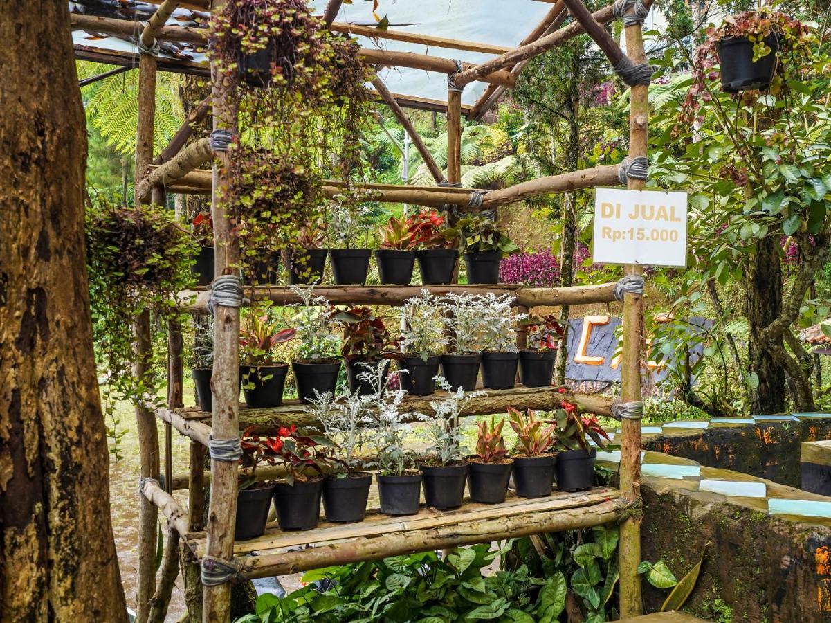 Oyo Homes 90915 Eco Tourism Desa Cihanjuang Rahayu Ciwangun Indah Camp Villas Bongkar Kültér fotó
