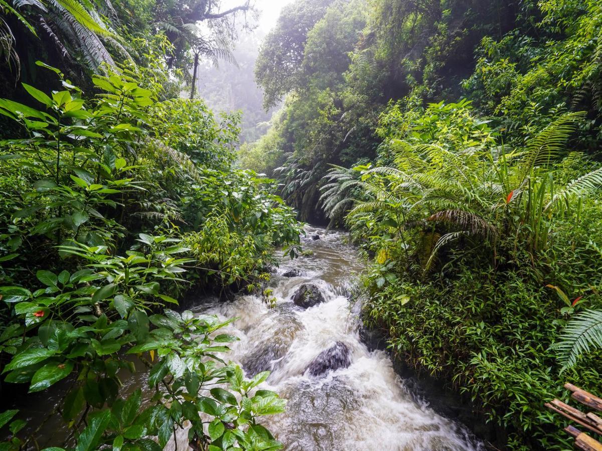 Oyo Homes 90915 Eco Tourism Desa Cihanjuang Rahayu Ciwangun Indah Camp Villas Bongkar Kültér fotó