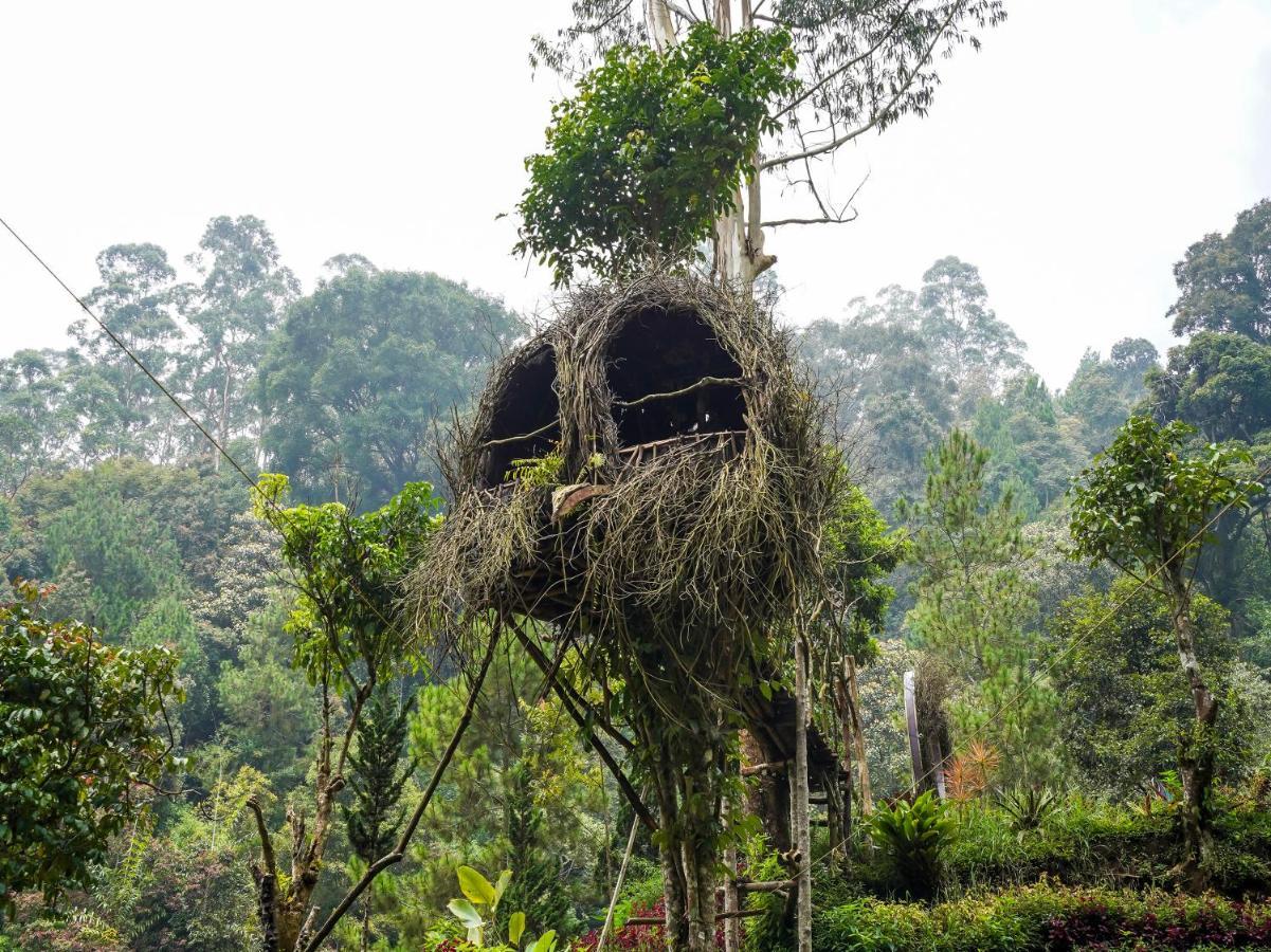 Oyo Homes 90915 Eco Tourism Desa Cihanjuang Rahayu Ciwangun Indah Camp Villas Bongkar Kültér fotó