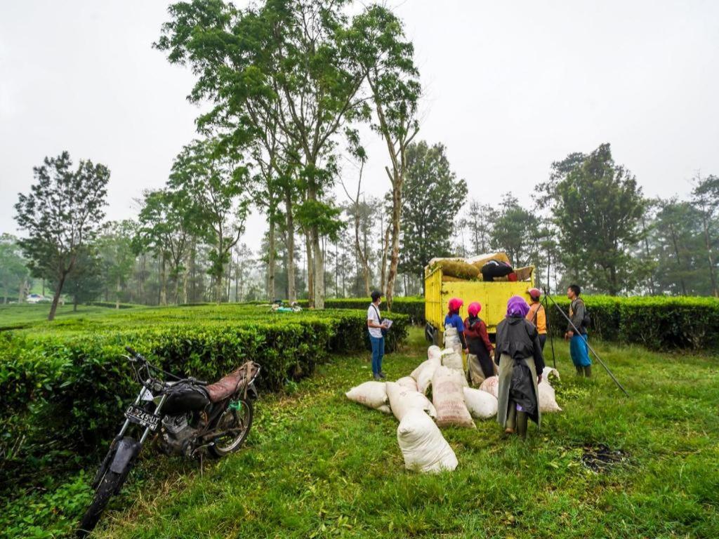 Oyo Homes 90915 Eco Tourism Desa Cihanjuang Rahayu Ciwangun Indah Camp Villas Bongkar Kültér fotó