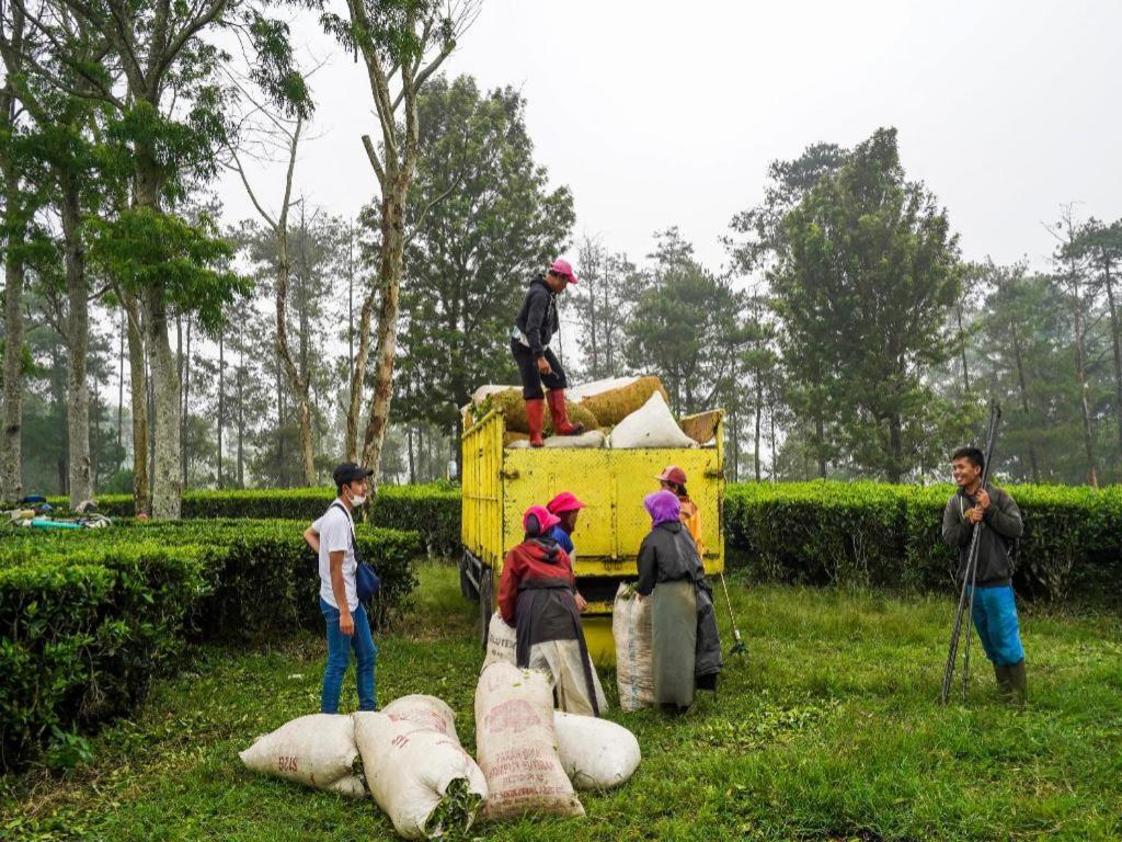 Oyo Homes 90915 Eco Tourism Desa Cihanjuang Rahayu Ciwangun Indah Camp Villas Bongkar Kültér fotó