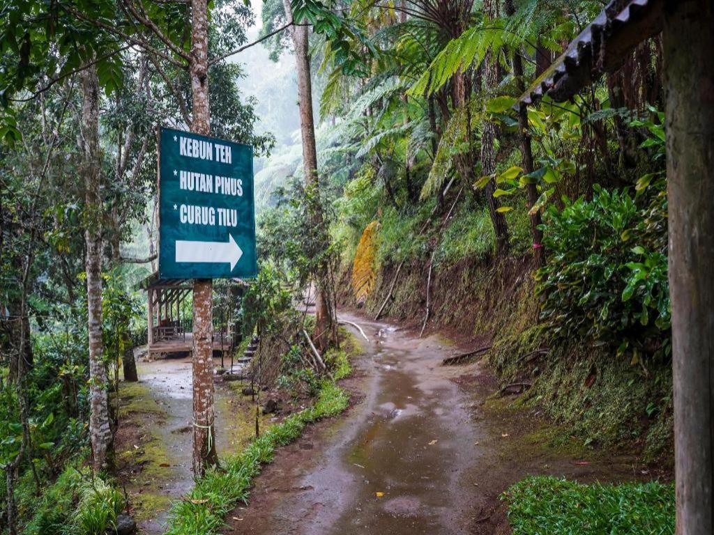Oyo Homes 90915 Eco Tourism Desa Cihanjuang Rahayu Ciwangun Indah Camp Villas Bongkar Kültér fotó
